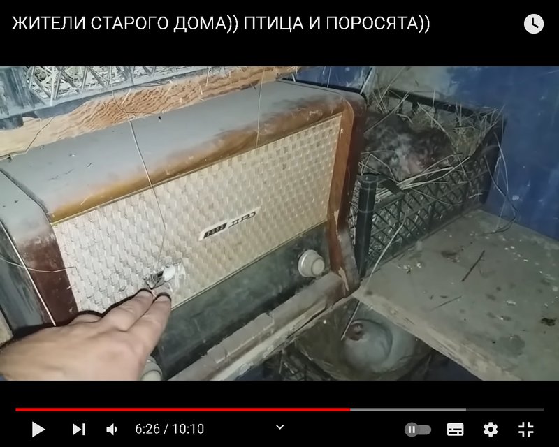 Радиола 