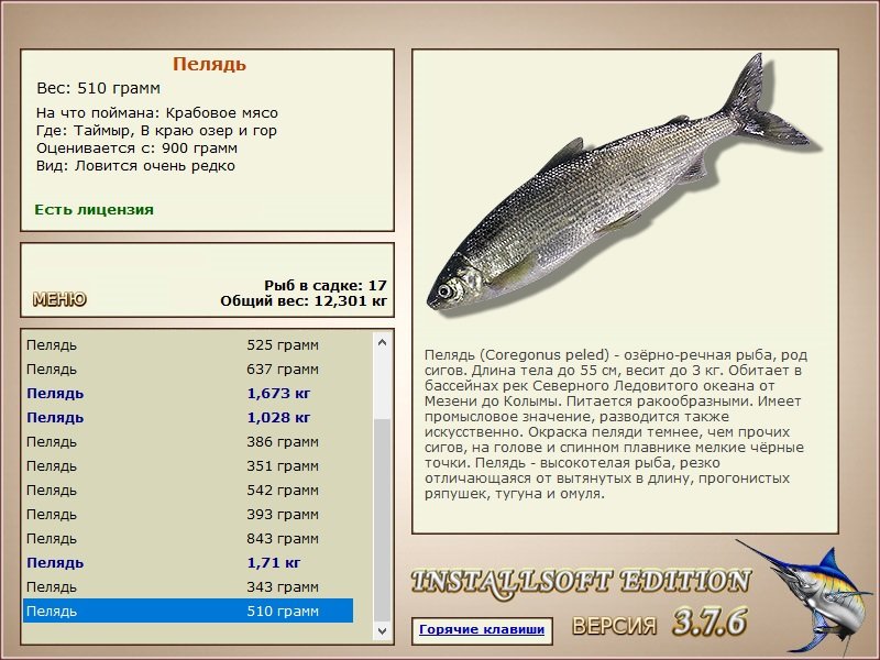 турниры • РУССКАЯ РЫБАЛКА