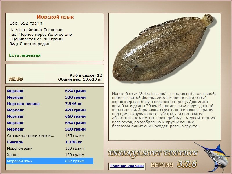 турниры • РУССКАЯ РЫБАЛКА