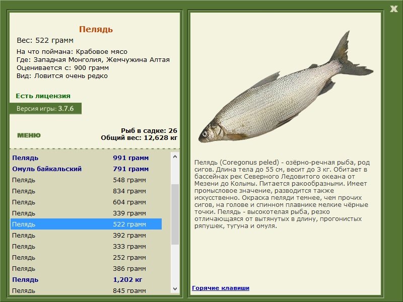 турниры • РУССКАЯ РЫБАЛКА