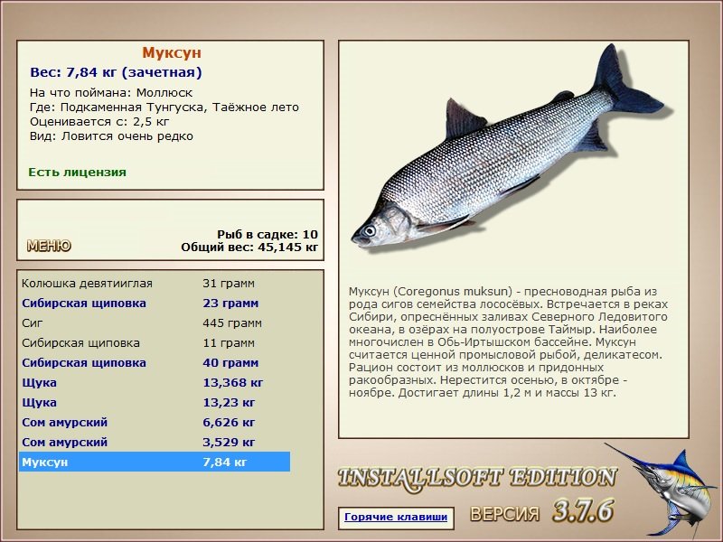 турниры • РУССКАЯ РЫБАЛКА
