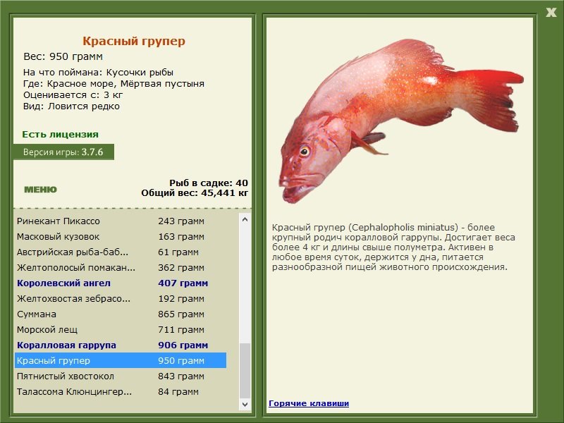 турниры • РУССКАЯ РЫБАЛКА