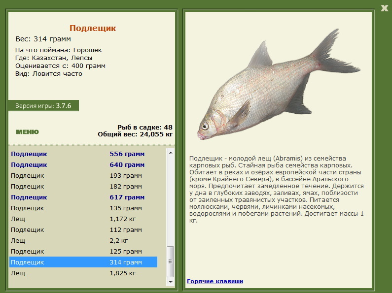 турниры • РУССКАЯ РЫБАЛКА