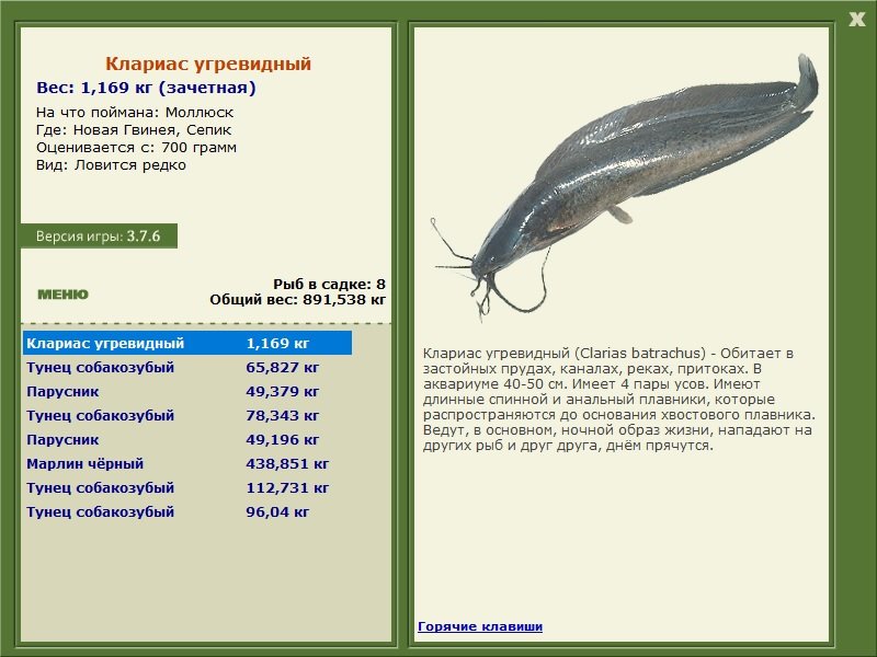Сепик 