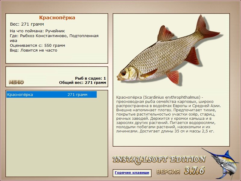 Подтопленная ива 