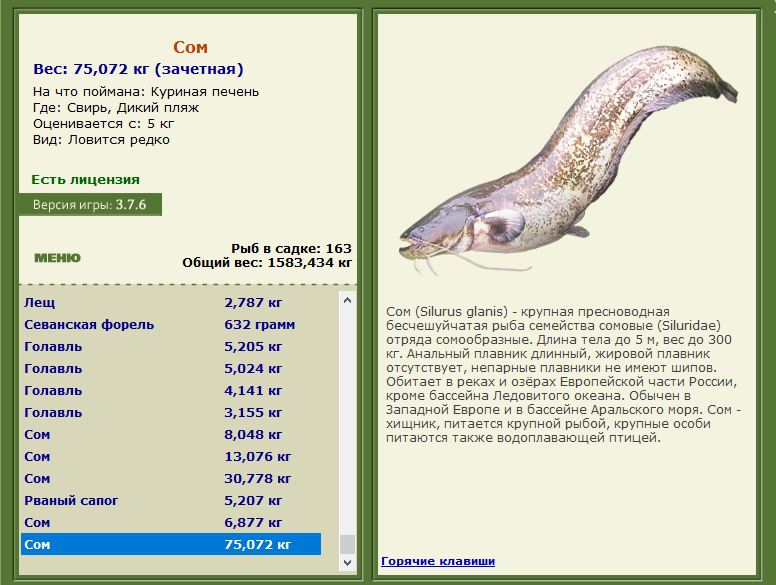 РУССКАЯ РЫБАЛКА Installsoft Edition 