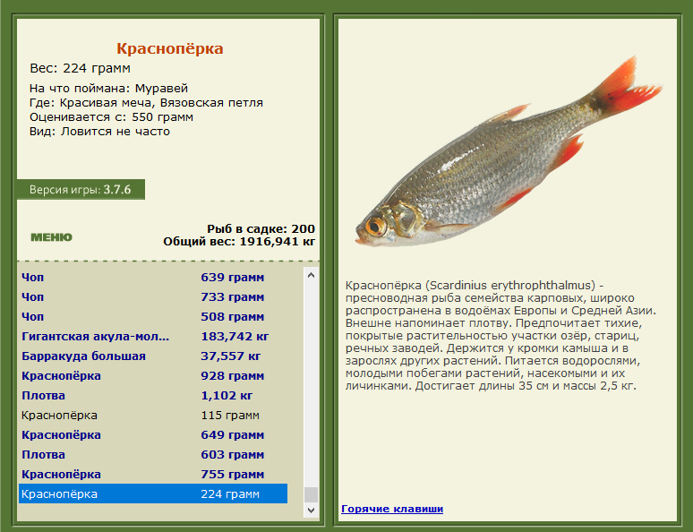 РУССКАЯ РЫБАЛКА Installsoft Edition 