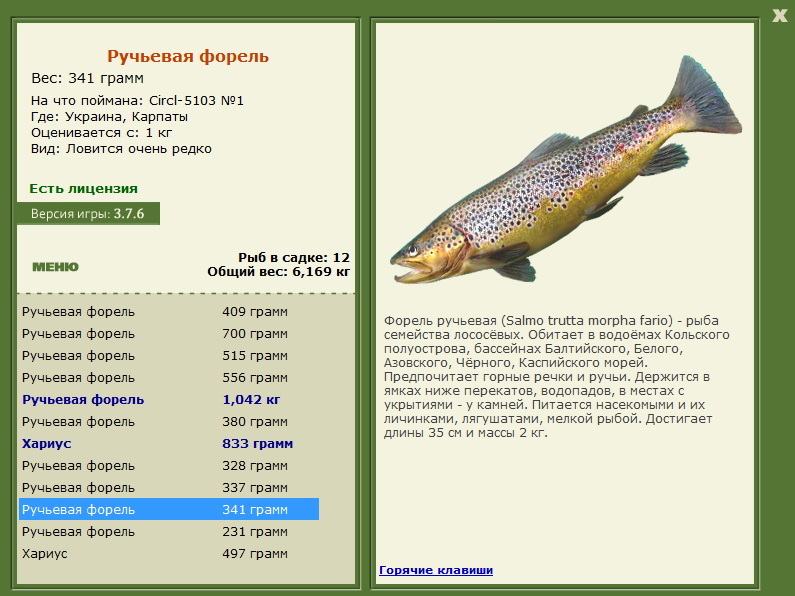 турниры • РУССКАЯ РЫБАЛКА