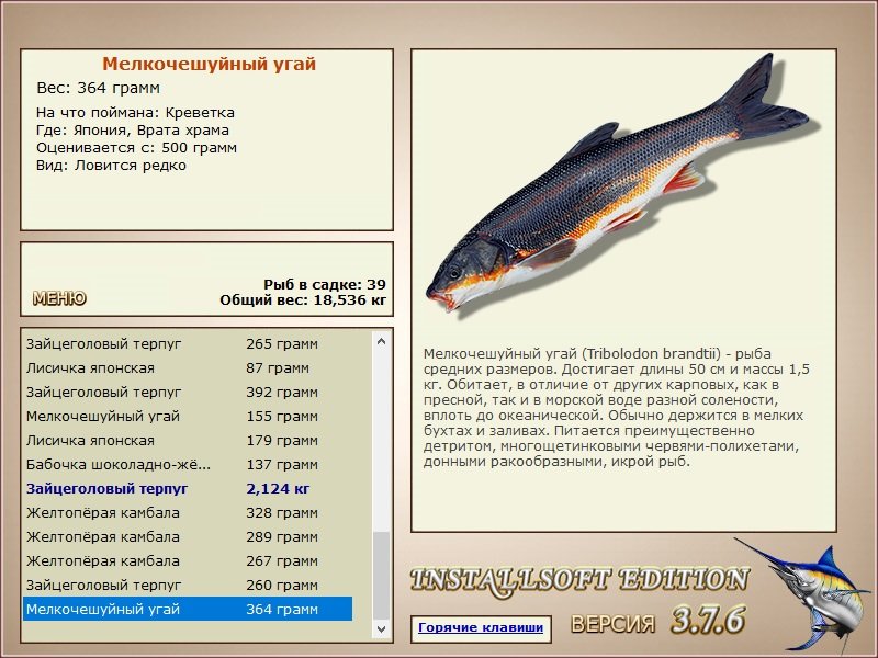 турниры • РУССКАЯ РЫБАЛКА