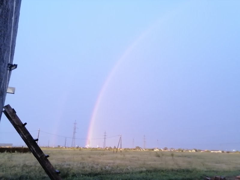  Страница 119 - Форум 