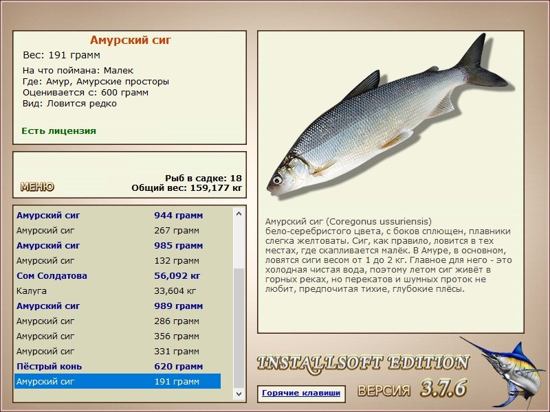 Амурские просторы 