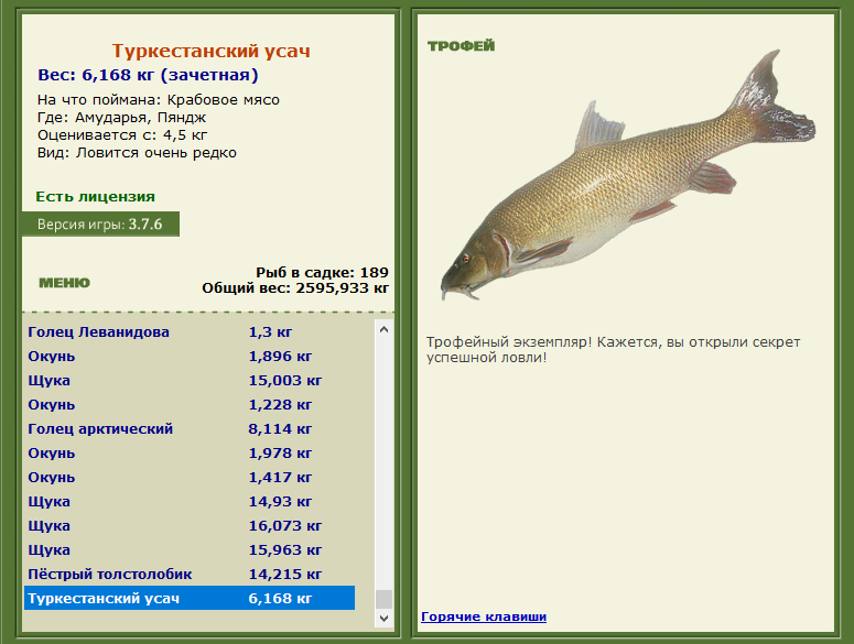 Пяндж 