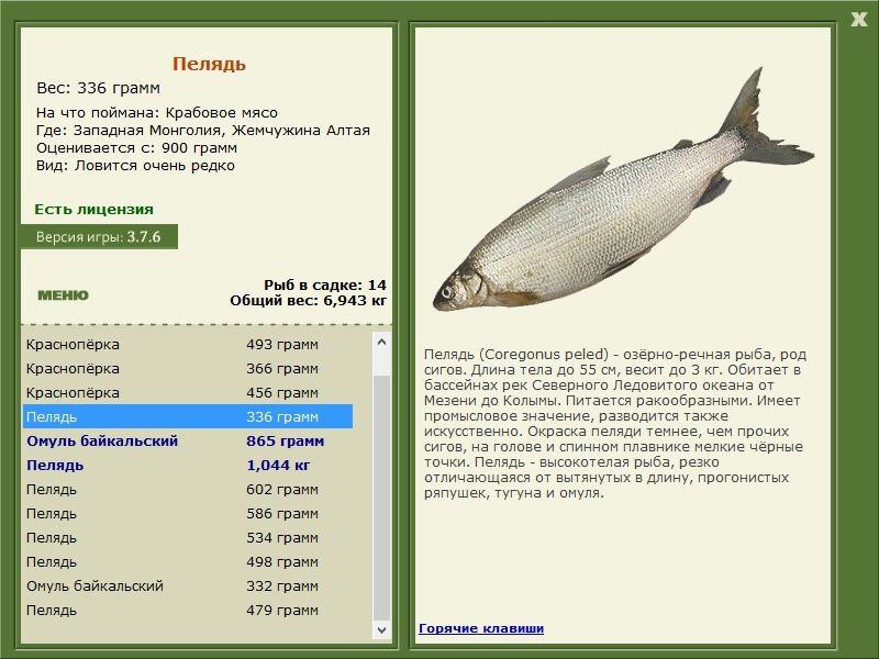 турниры • РУССКАЯ РЫБАЛКА
