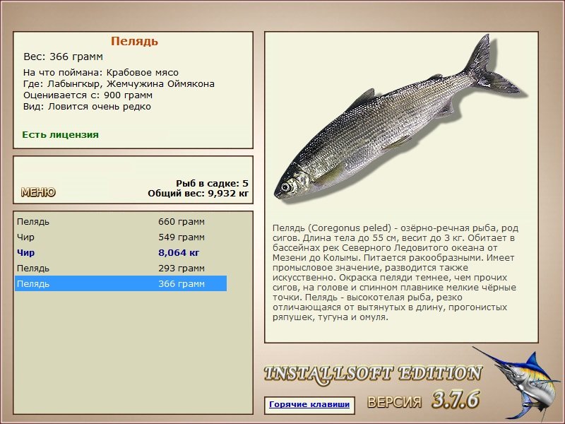 турниры • РУССКАЯ РЫБАЛКА