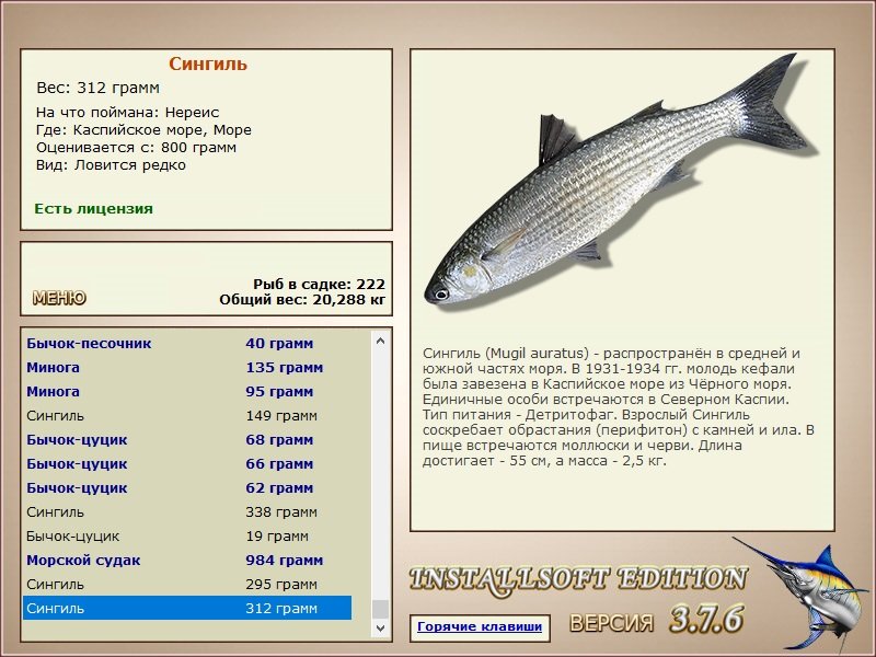 Море 