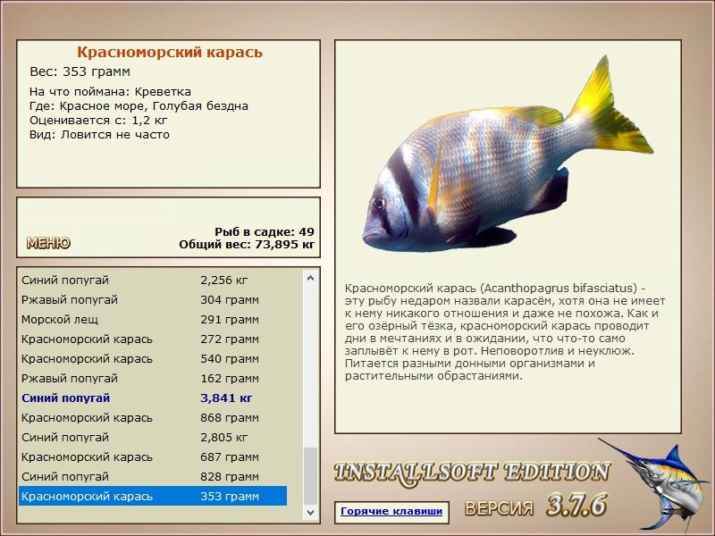 турниры • РУССКАЯ РЫБАЛКА