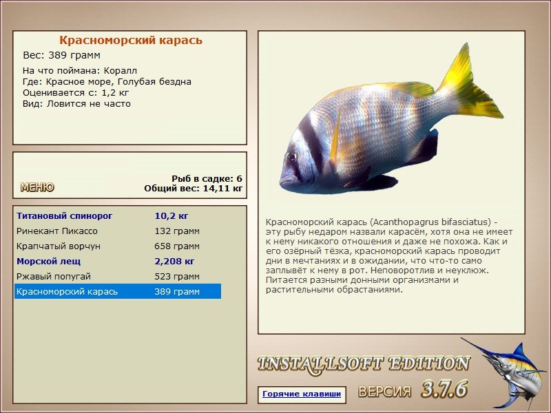 турниры • РУССКАЯ РЫБАЛКА
