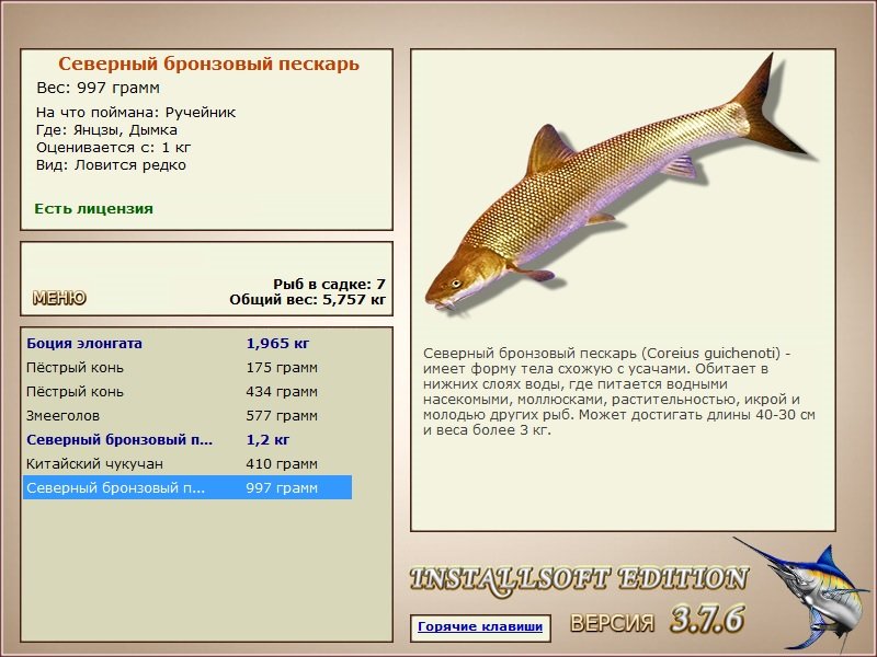турниры • РУССКАЯ РЫБАЛКА
