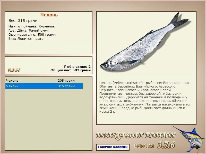 турниры • РУССКАЯ РЫБАЛКА