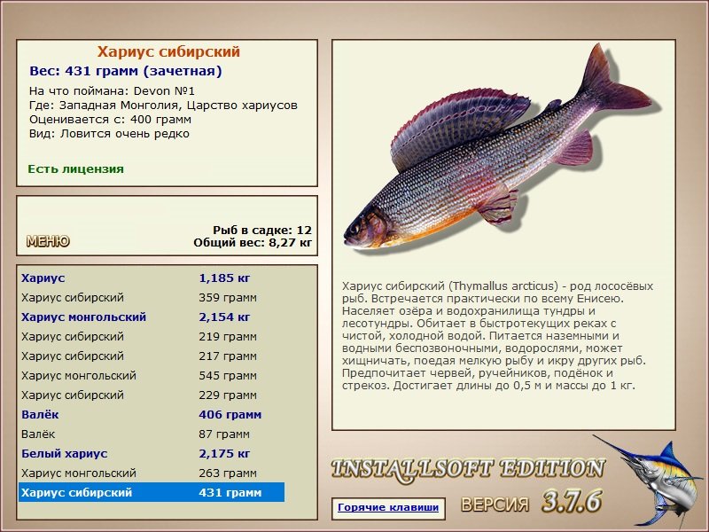 турниры • РУССКАЯ РЫБАЛКА