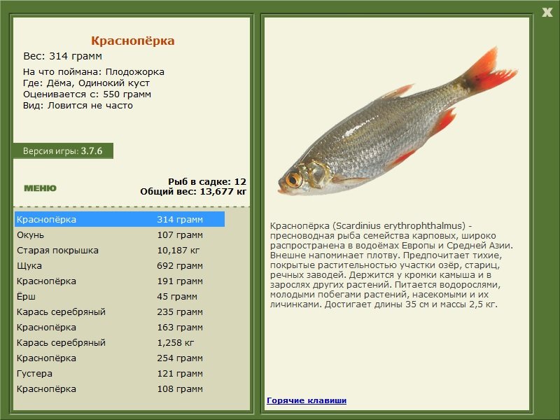 турниры • РУССКАЯ РЫБАЛКА