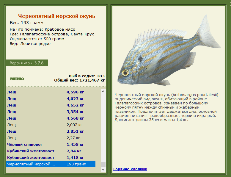 РУССКАЯ РЫБАЛКА Installsoft Edition 