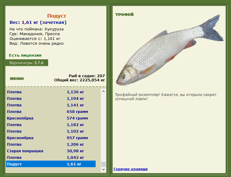 Подуст 