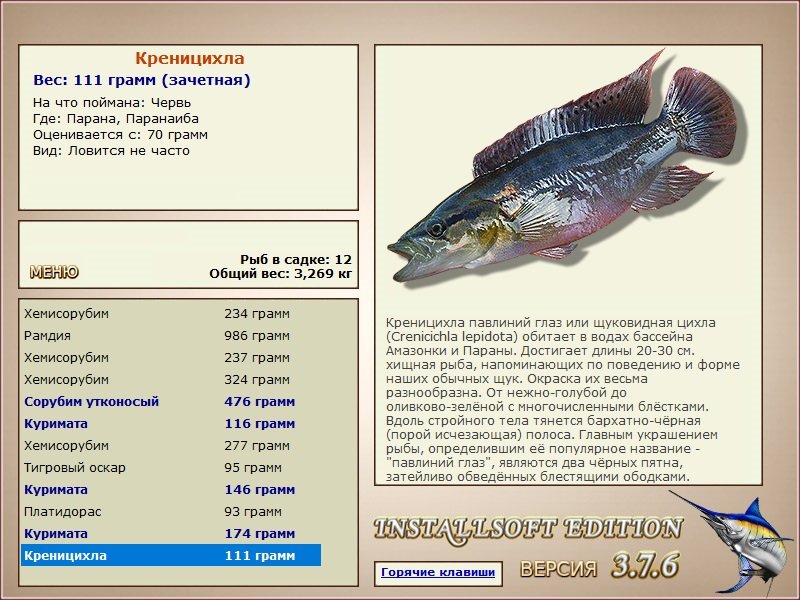 турниры • РУССКАЯ РЫБАЛКА