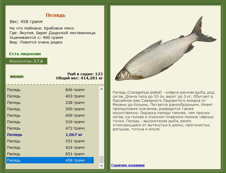 РУССКАЯ РЫБАЛКА Installsoft Edition 