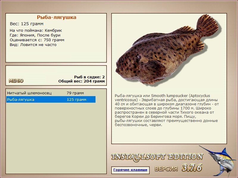 После бури 