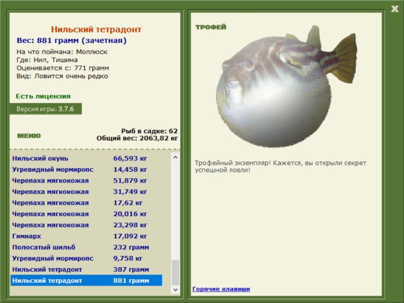 Нильский тетрадонт 