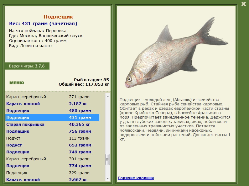 турниры • РУССКАЯ РЫБАЛКА