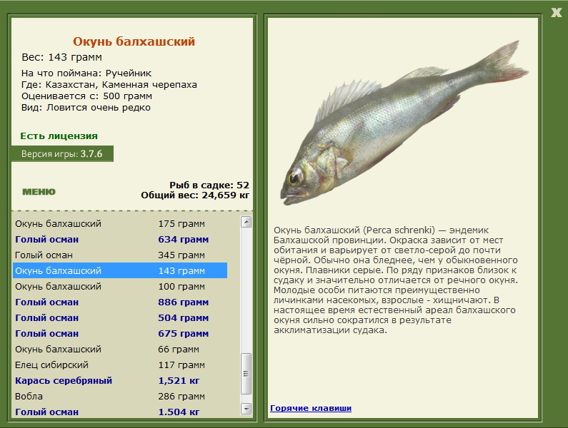 турниры • РУССКАЯ РЫБАЛКА