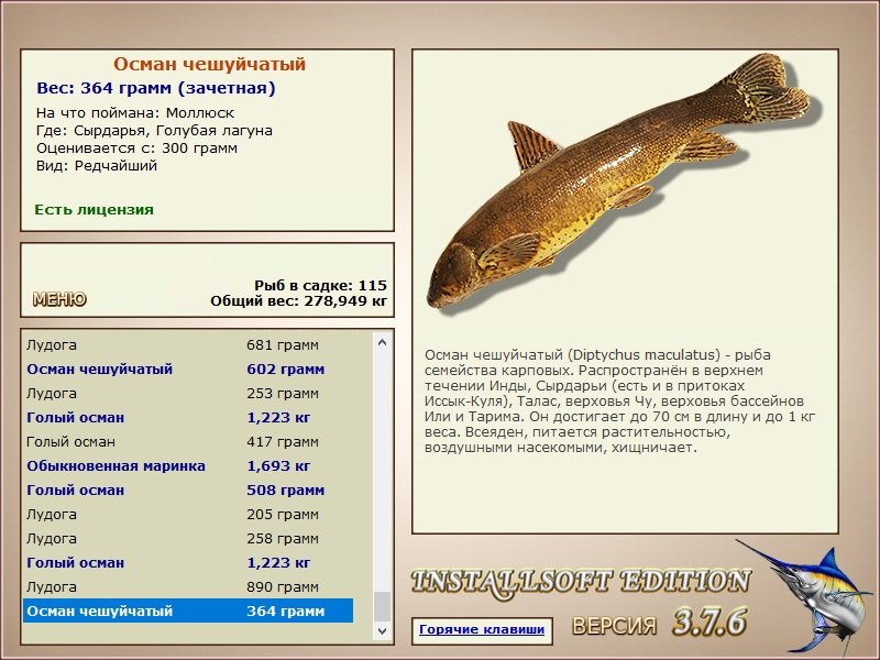 турниры • РУССКАЯ РЫБАЛКА