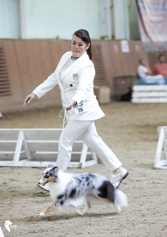  2 Speciality шелти в Челябинске 19-20.08.23