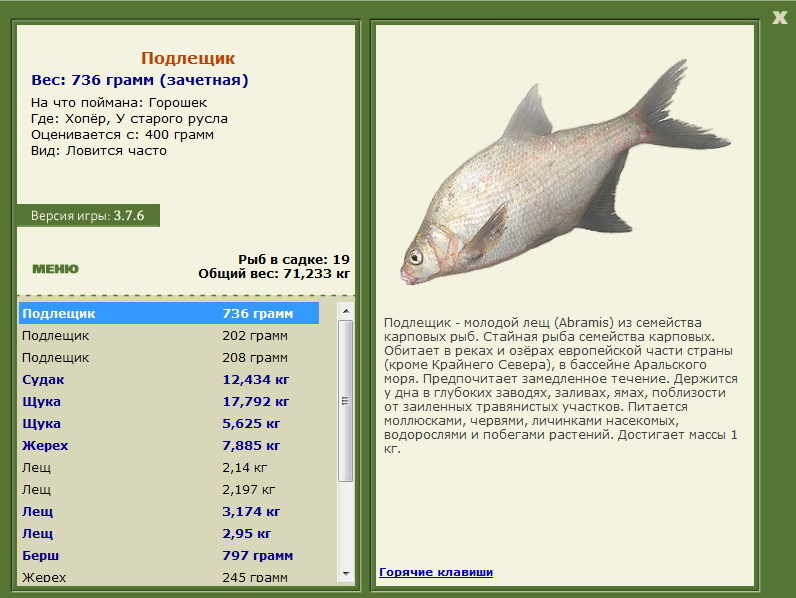 Хопёр 