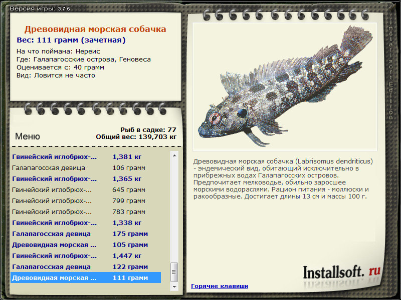 турниры • РУССКАЯ РЫБАЛКА