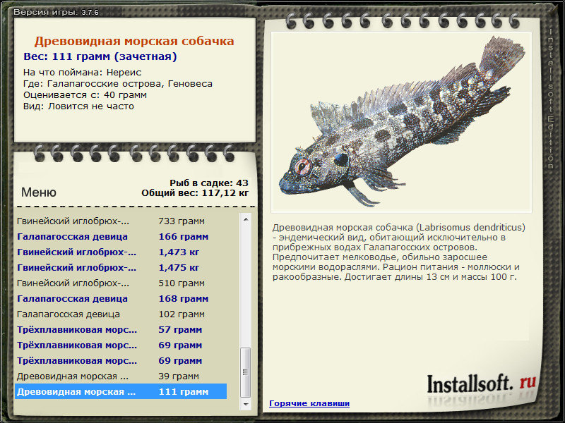 турниры • РУССКАЯ РЫБАЛКА
