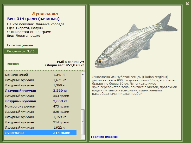турниры • РУССКАЯ РЫБАЛКА