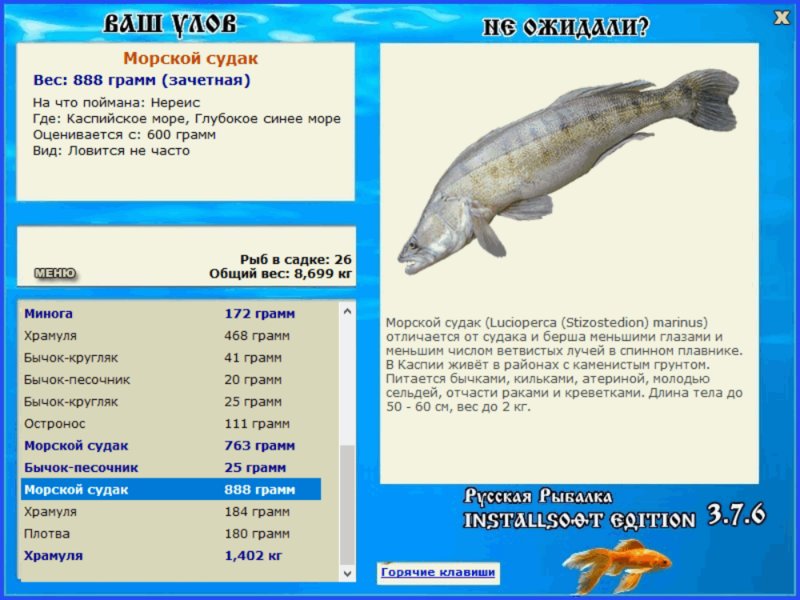 турниры • РУССКАЯ РЫБАЛКА