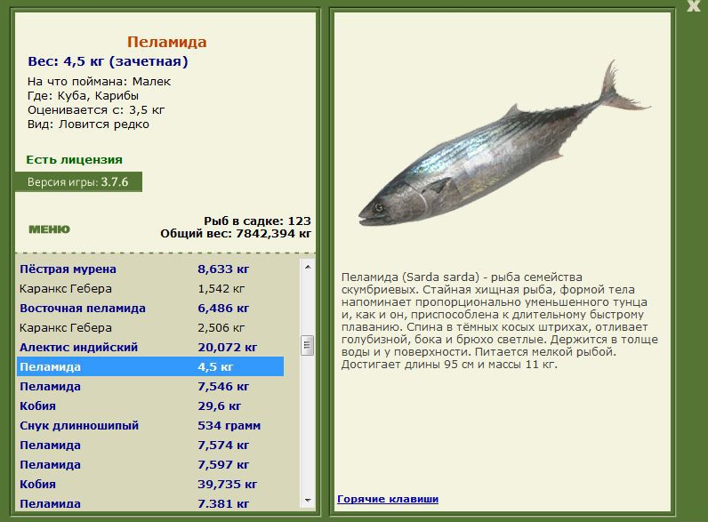 РУССКАЯ РЫБАЛКА Installsoft Edition 