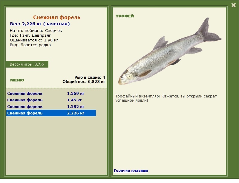 Снежная форель 