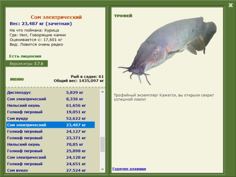 Сом электрический 