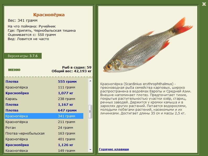 турниры • РУССКАЯ РЫБАЛКА