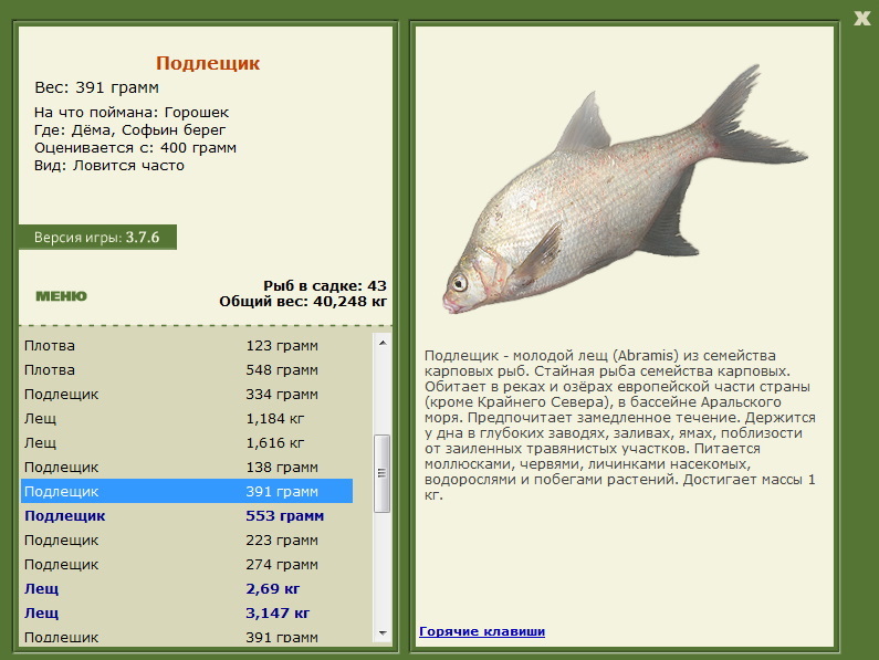 турниры • РУССКАЯ РЫБАЛКА