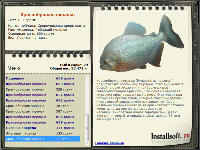 турниры • РУССКАЯ РЫБАЛКА