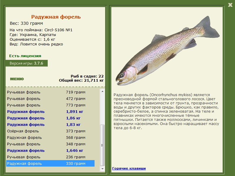 Карпаты 