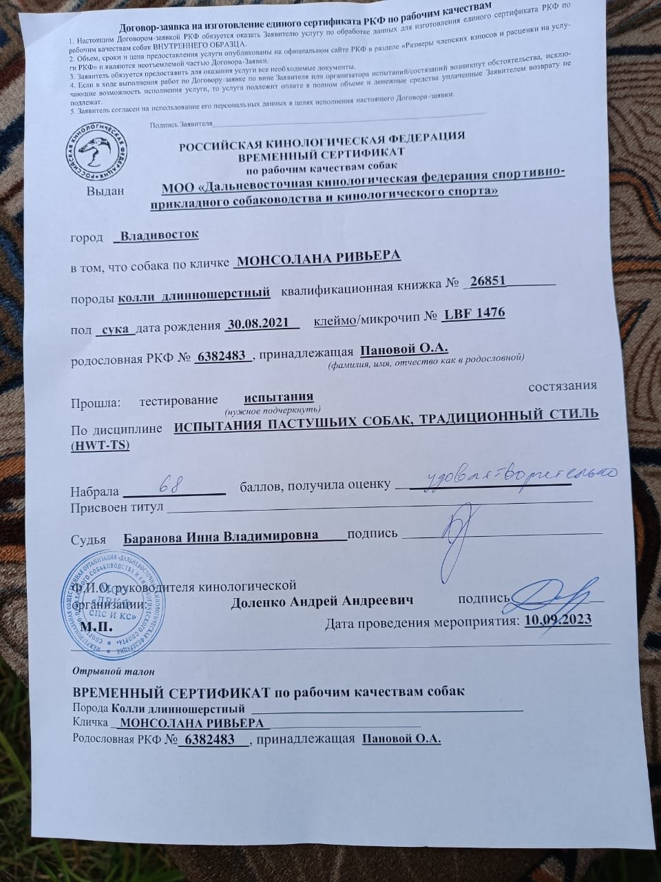 Изображение