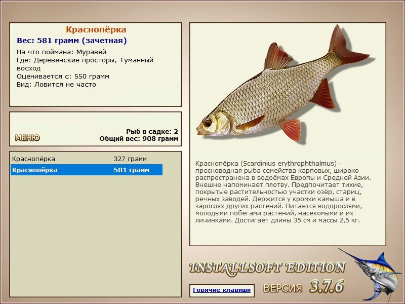 турниры • РУССКАЯ РЫБАЛКА