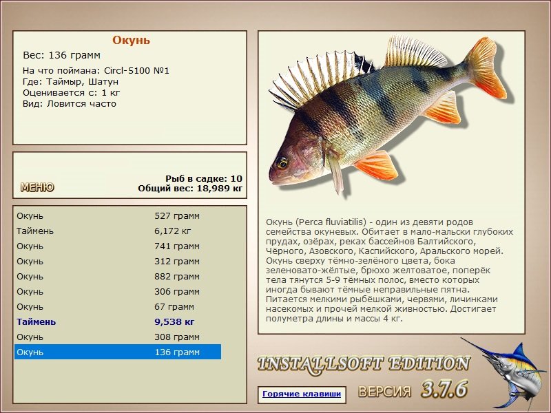 Шатун 